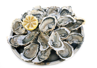 Image showing french oysters