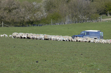 Image showing Feeding Time