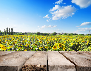 Image showing Wooden table and field of sunflowers