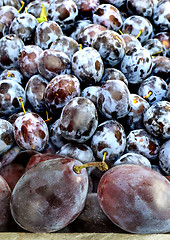 Image showing damson with autumnal leaves