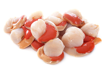 Image showing great scallops