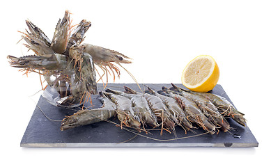 Image showing raw gambas