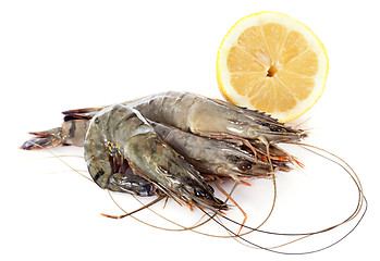 Image showing raw gambas