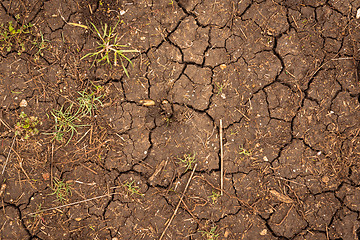 Image showing Closeup of dry soil texture