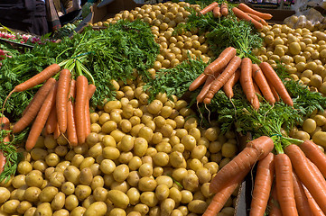 Image showing Carrots and Potatoes