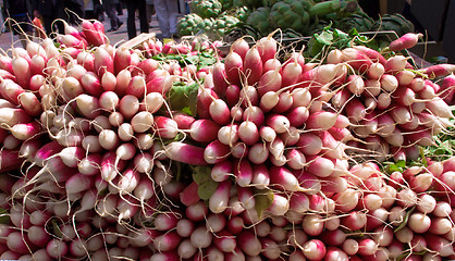 Image showing Fresh Radish