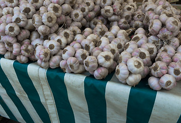 Image showing Fresh Pink Garlic Cloves