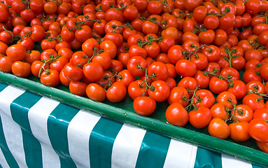 Image showing Fresh Ripe Tomatoes