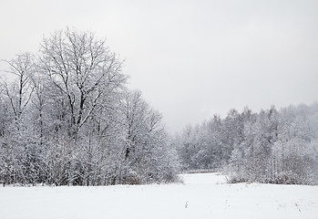 Image showing Winter alley