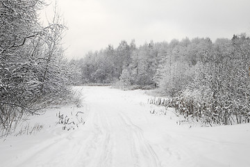 Image showing Winter alley