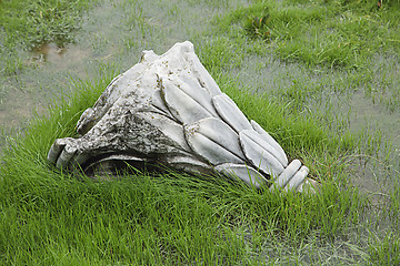 Image showing Ruined antique column