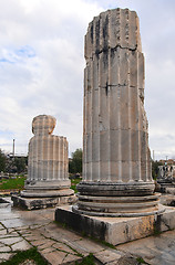 Image showing Apollo temple in Turkey