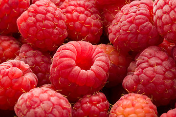 Image showing Raspberries