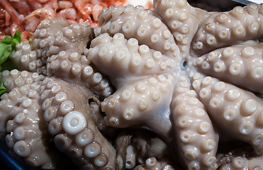 Image showing octopus