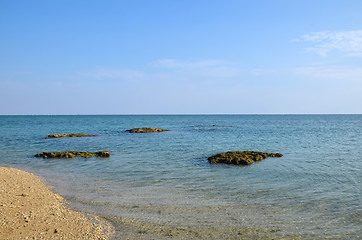 Image showing Pacific Coast