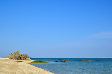 Image showing Coral coast