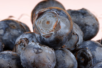 Image showing Blueberry macro