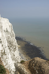 Image showing White cliffs of Dover