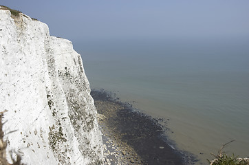 Image showing White cliffs of Dover