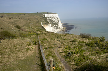 Image showing White cliffs of Dover