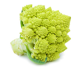 Image showing Romanesco broccoli