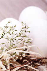 Image showing Plain undecorated Easter eggs in a nest