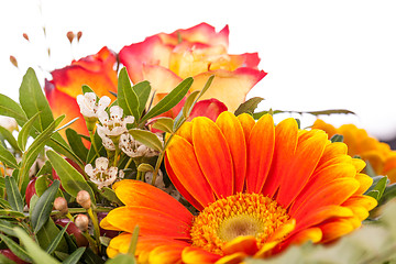 Image showing Vivid orange gerbera daisy in a bouquet