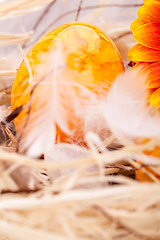 Image showing Vivid orange Easter egg with a gerbera and rose