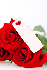 Image showing Valentines gift of beautiful red roses