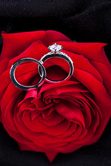 Image showing Diamond engagement ring in the heart of a red rose