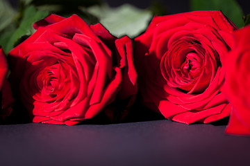 Image showing beautiful red rose flower on black background