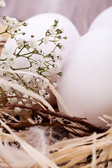 Image showing Plain undecorated Easter eggs in a nest