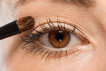 Image showing doing the makeup brown eyeshadow on beautiful eyes