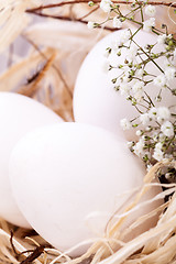 Image showing Plain undecorated Easter eggs in a nest