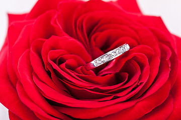 Image showing Diamond engagement ring in the heart of a red rose