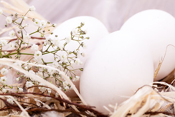 Image showing Plain undecorated Easter eggs in a nest