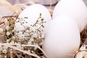 Image showing Plain undecorated Easter eggs in a nest