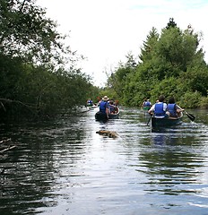 Image showing Canoeing