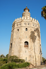 Image showing Torre del Oro or Gold Tower in Seville