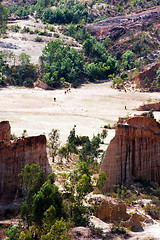 Image showing Soil forest