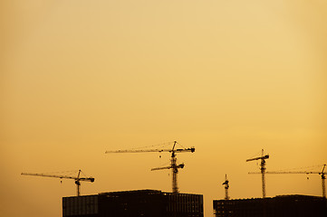 Image showing Cranes silhouette