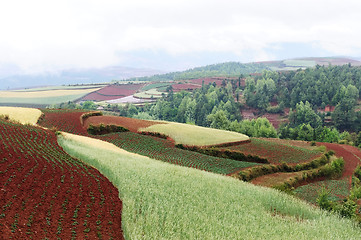 Image showing China rural landscape