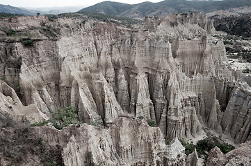 Image showing Soil forest