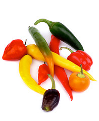 Image showing Chili Peppers