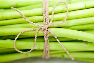 Image showing fresh asparagus over white