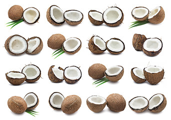 Image showing Coconuts