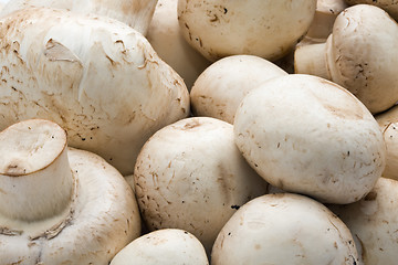 Image showing Champignon mushrooms