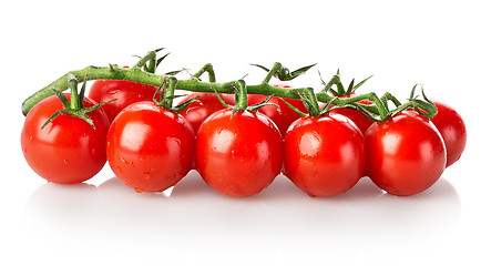 Image showing Branch of tomatoes