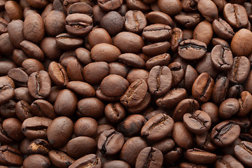 Image showing Coffee beans