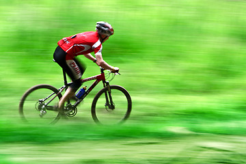 Image showing Mountain bike race